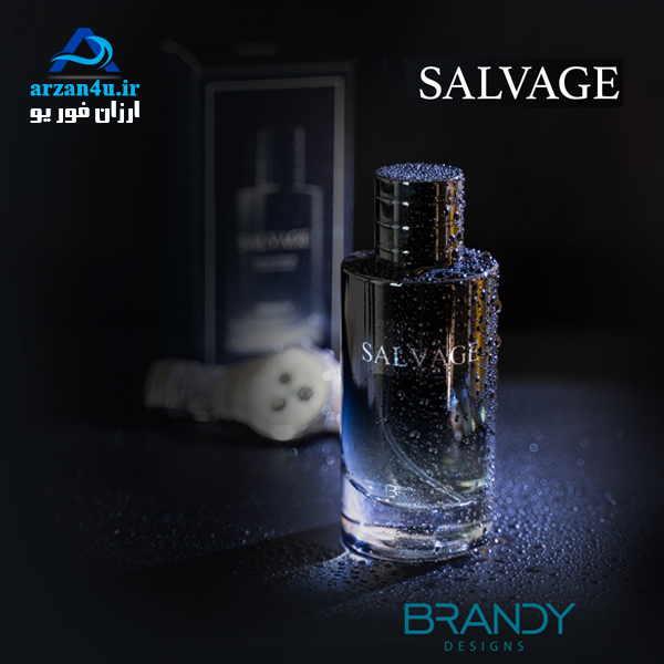 ادکلن مردانه برندی سالواج Brandy Salvage by For Men